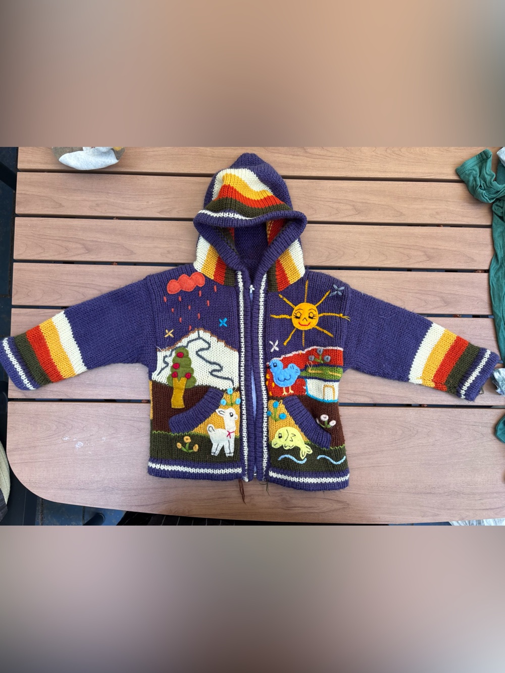 Colorful Hand-Knit Hooded Kids Sweater with Animal & Sun Motifs